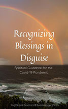 Recognizing Blessings Book Cover