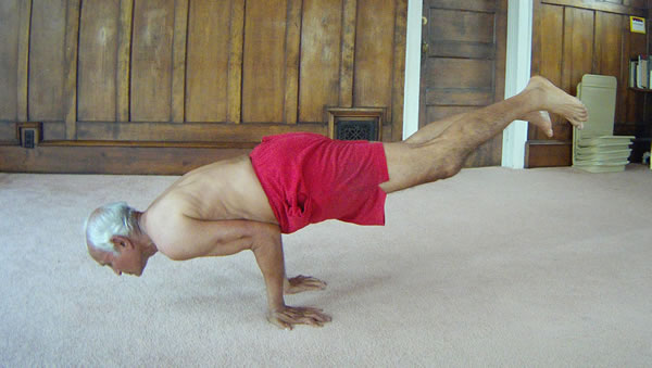Yogi Shanti Desai Asanas Yoga Postures 